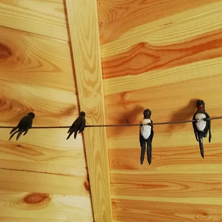 Ma En Aveyron אתר קמפינג Conques-en-Rouergue